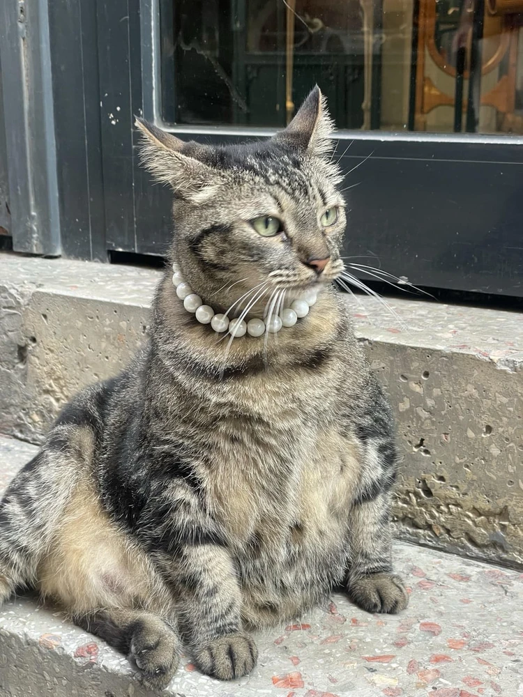 GIF uploaded by Yunus Emre