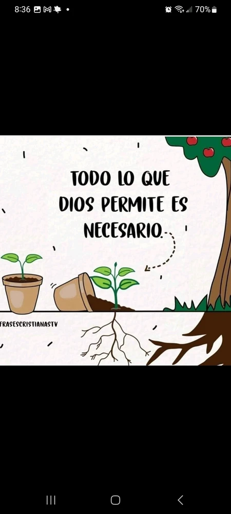 Image uploaded by ✨️🏃‍♀️💭🌸Ester🌸👩🏼‍🔬⚛️💊