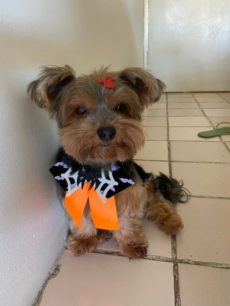 GIF enviado por Camila