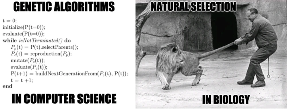 Image uploaded by Anna