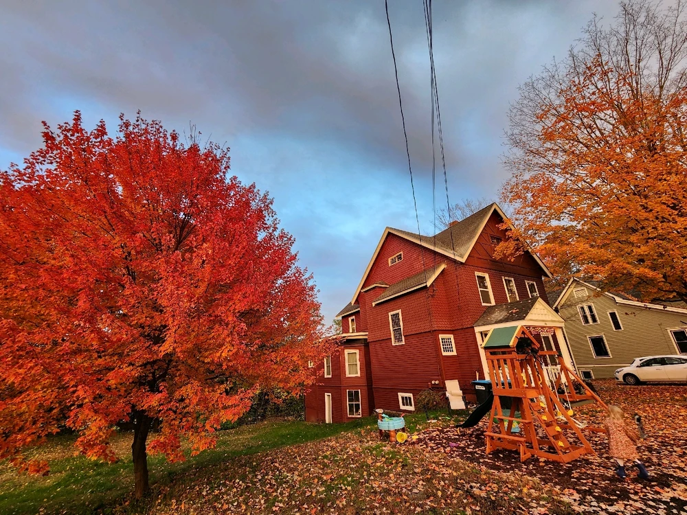 GIF uploaded by Ezra Serdynski