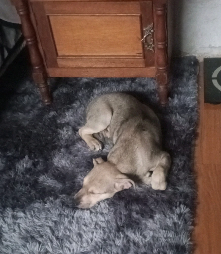 Imagen subida por Johnatan