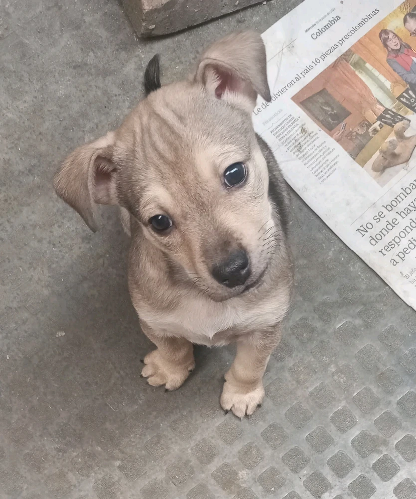 Imagen subida por Johnatan