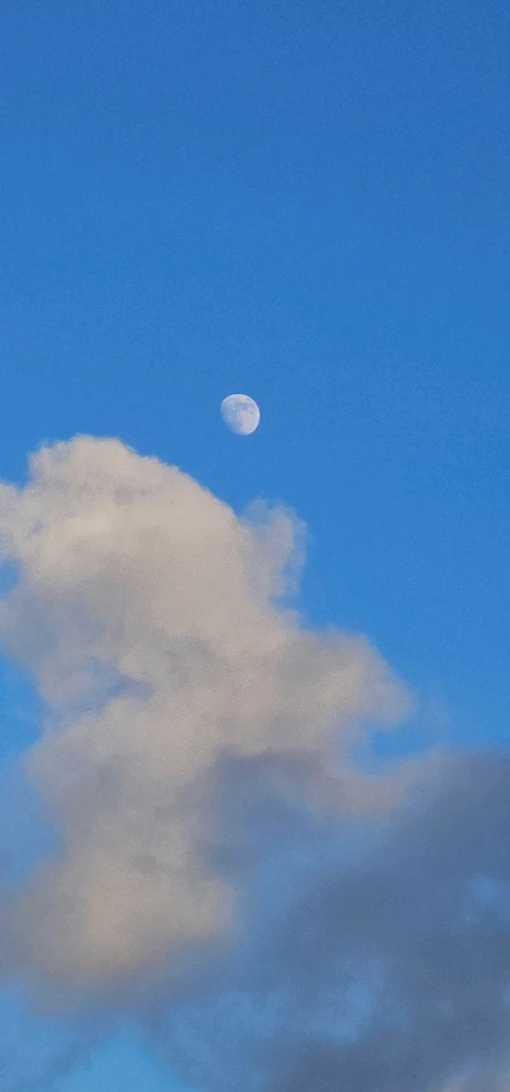 Image uploaded by Liza