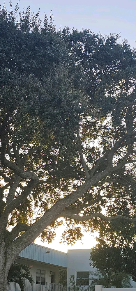 Image uploaded by Liza