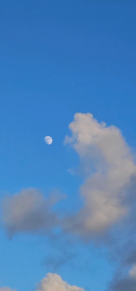 Image uploaded by Liza