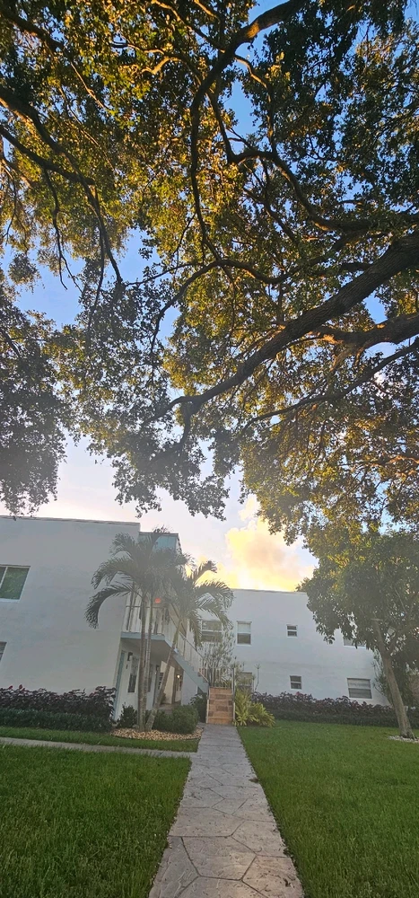 Image uploaded by Liza