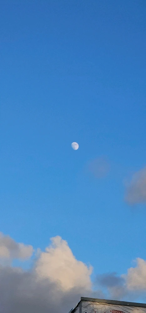 Image uploaded by Liza