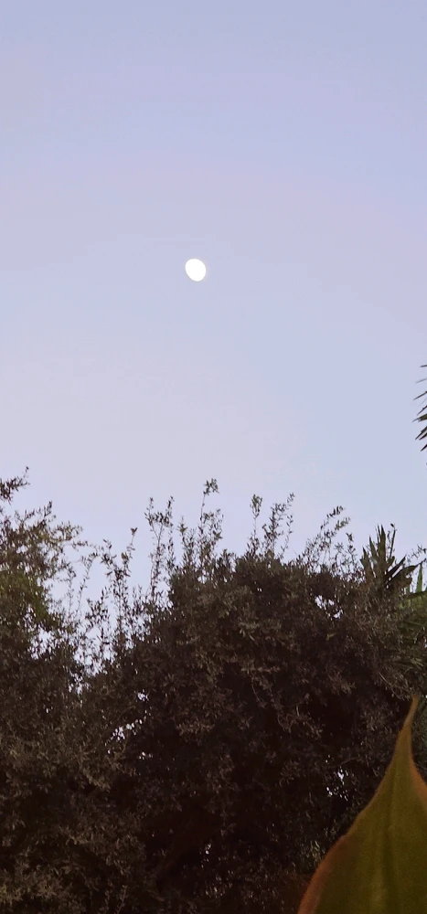 Image uploaded by Liza