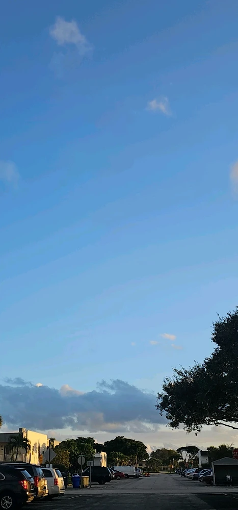 Image uploaded by Liza