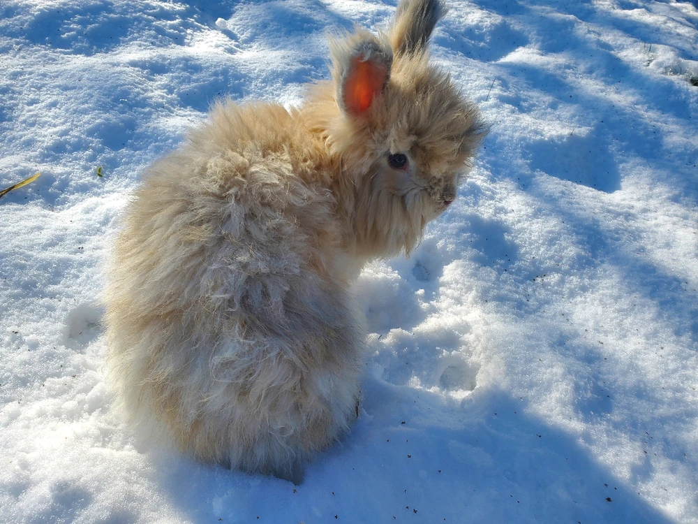 Gambar diunggah dening Bella