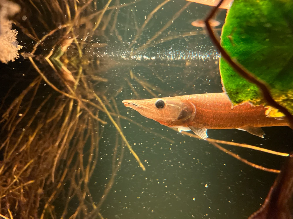 Bild hochgeladen von Anton