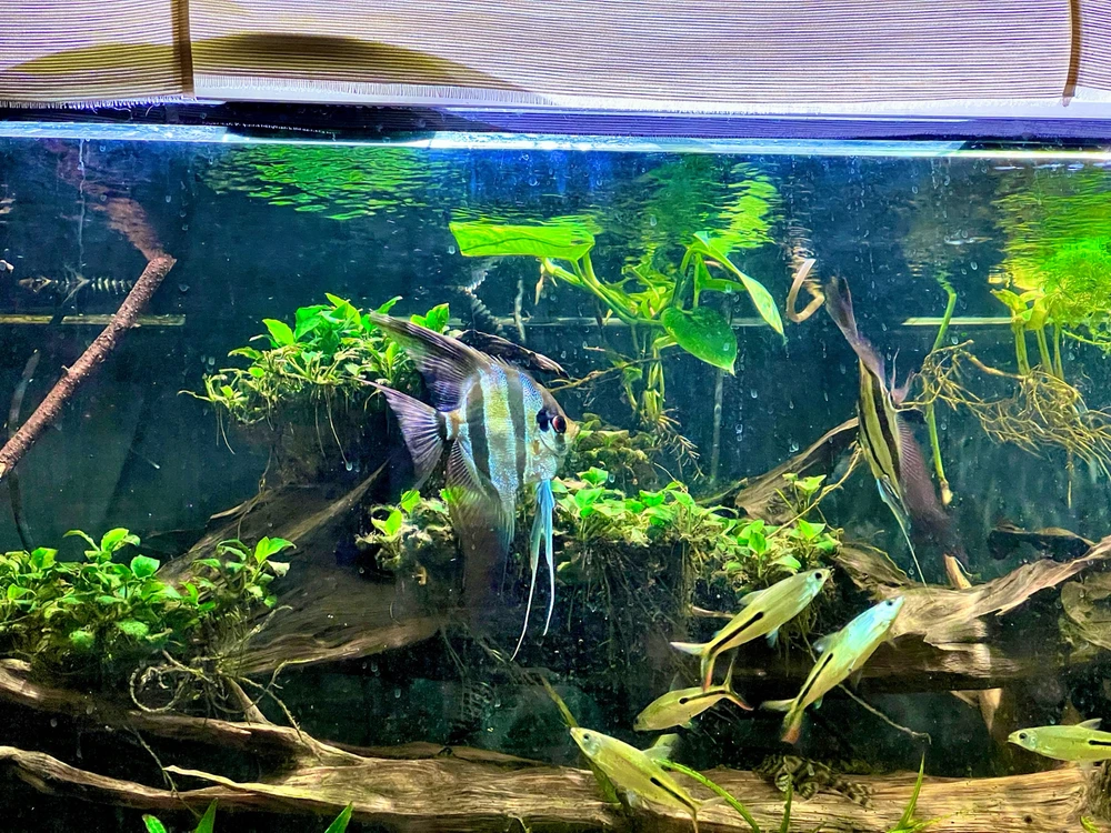 Bild hochgeladen von Anton