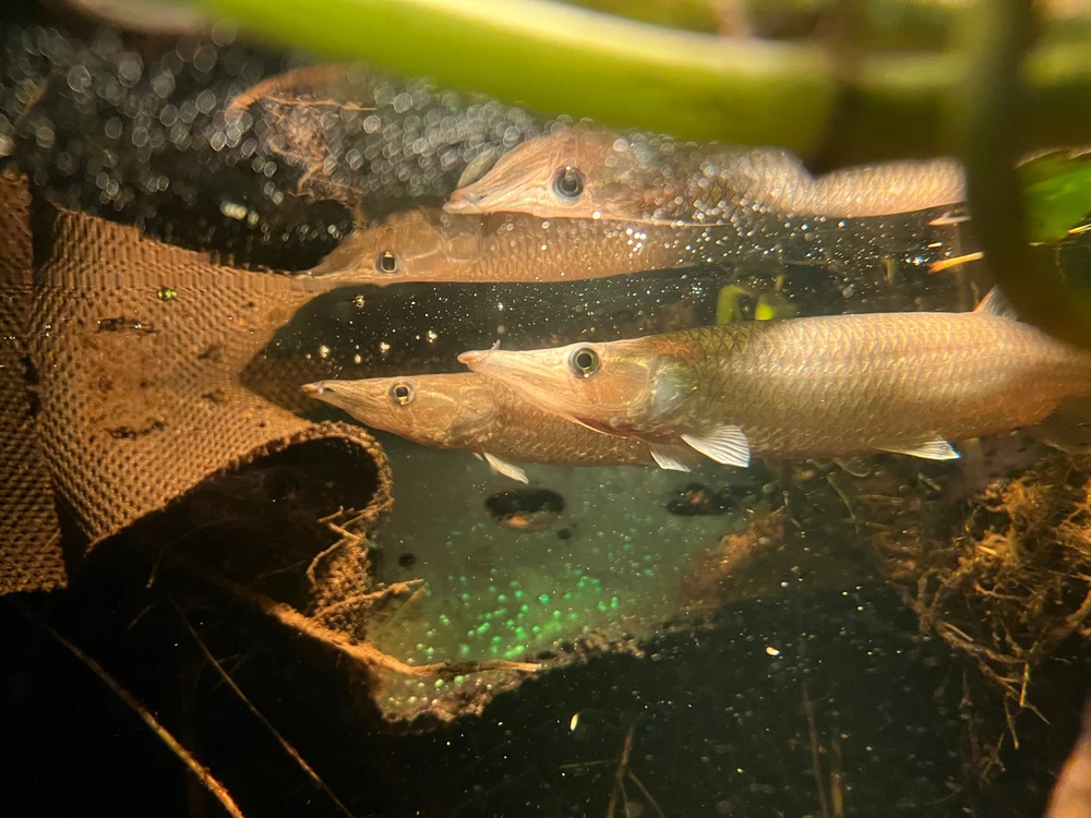 Bild hochgeladen von Anton