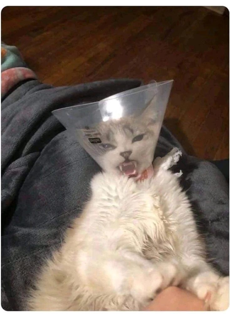 GIF uploaded by Aleksandar