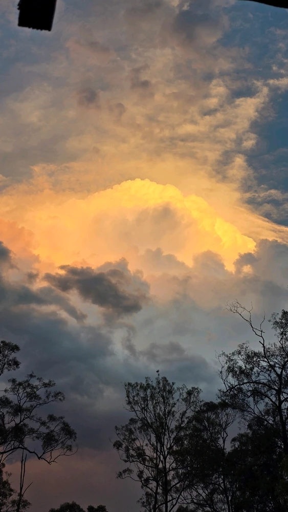 Image uploaded by Dawsy