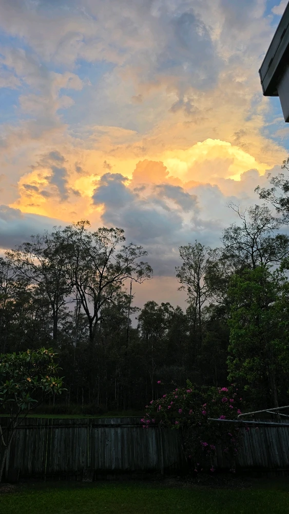 Image uploaded by Dawsy