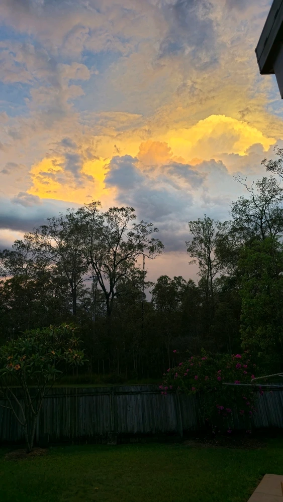 Image uploaded by Dawsy