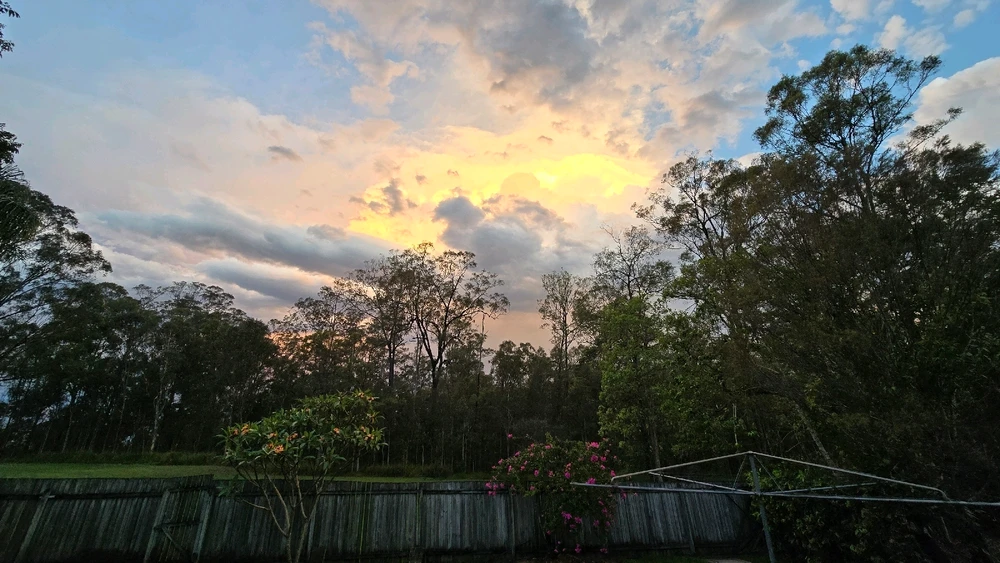 Image uploaded by Dawsy