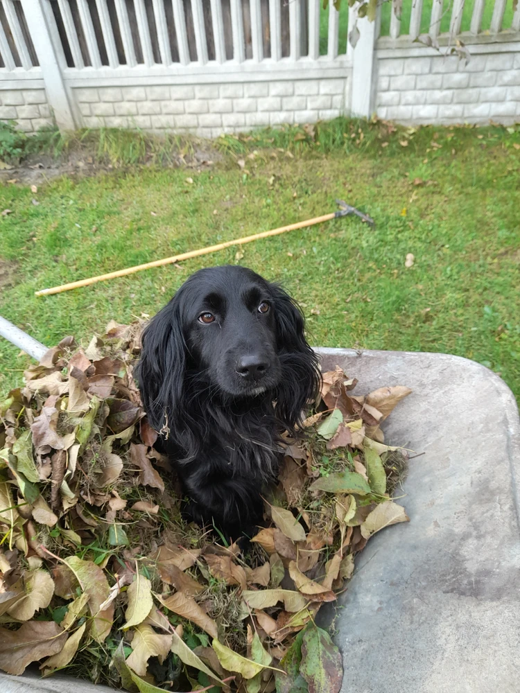 GIF dodany przez Ola