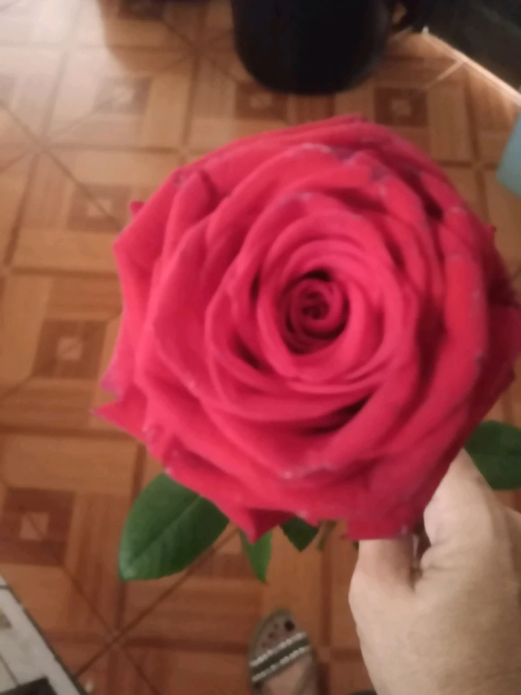 GIF uploaded by Isabella