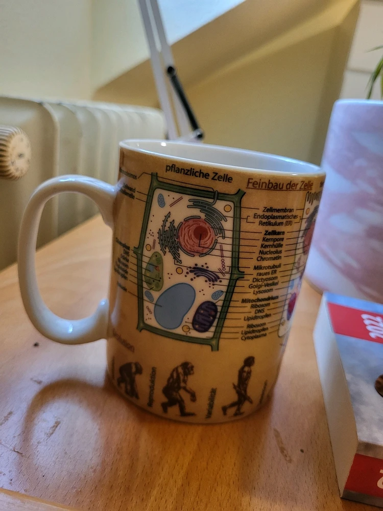 GIF uploaded by Jacek