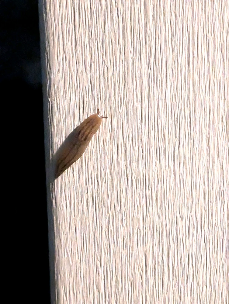 GIF uploaded by Lexy