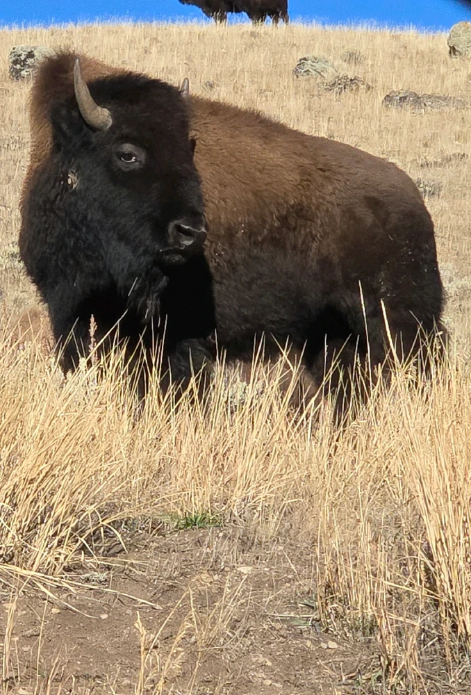 GIF uploaded by Patrik