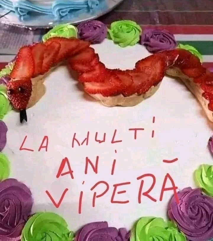 GIF încărcat de GFN