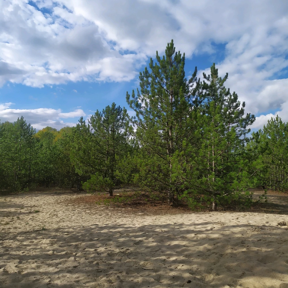 GIF uploaded by Tania