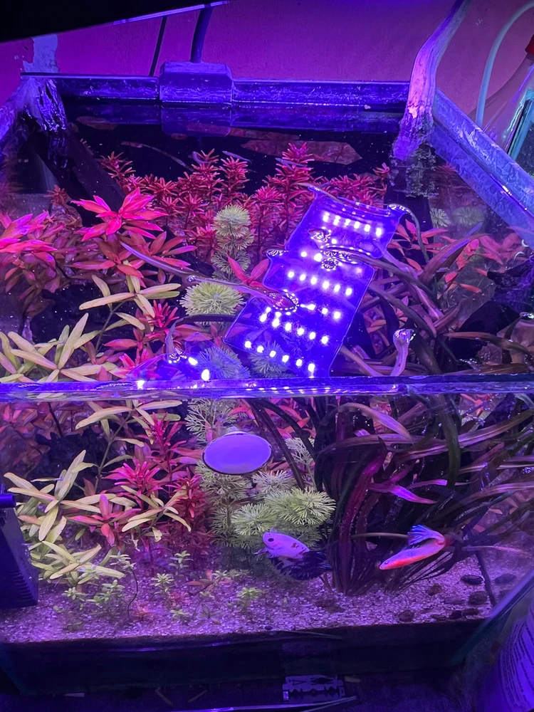 GIF uploaded by Ayushmann