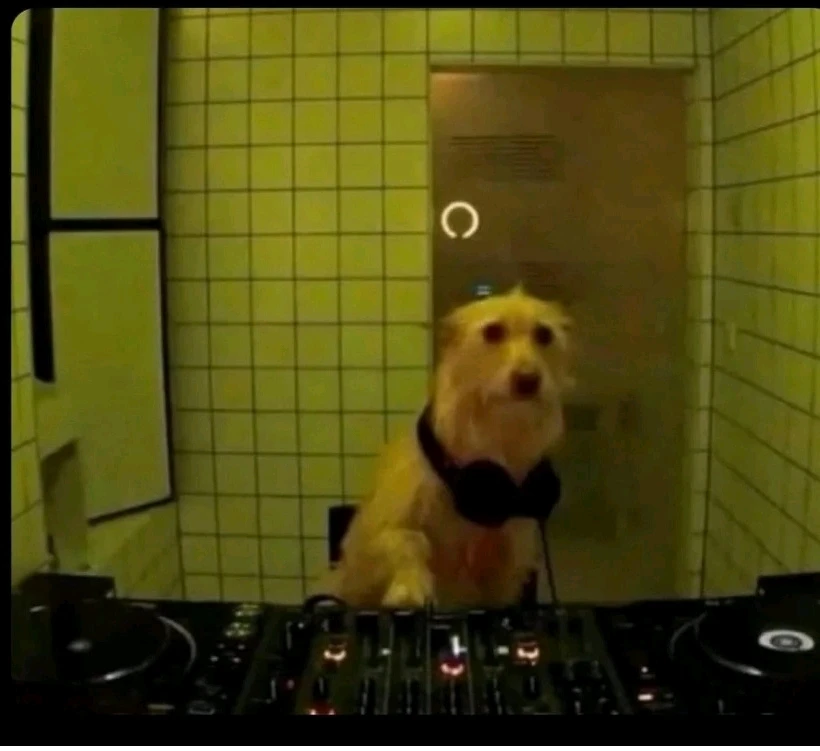 Mert tarafından yüklenen GIF