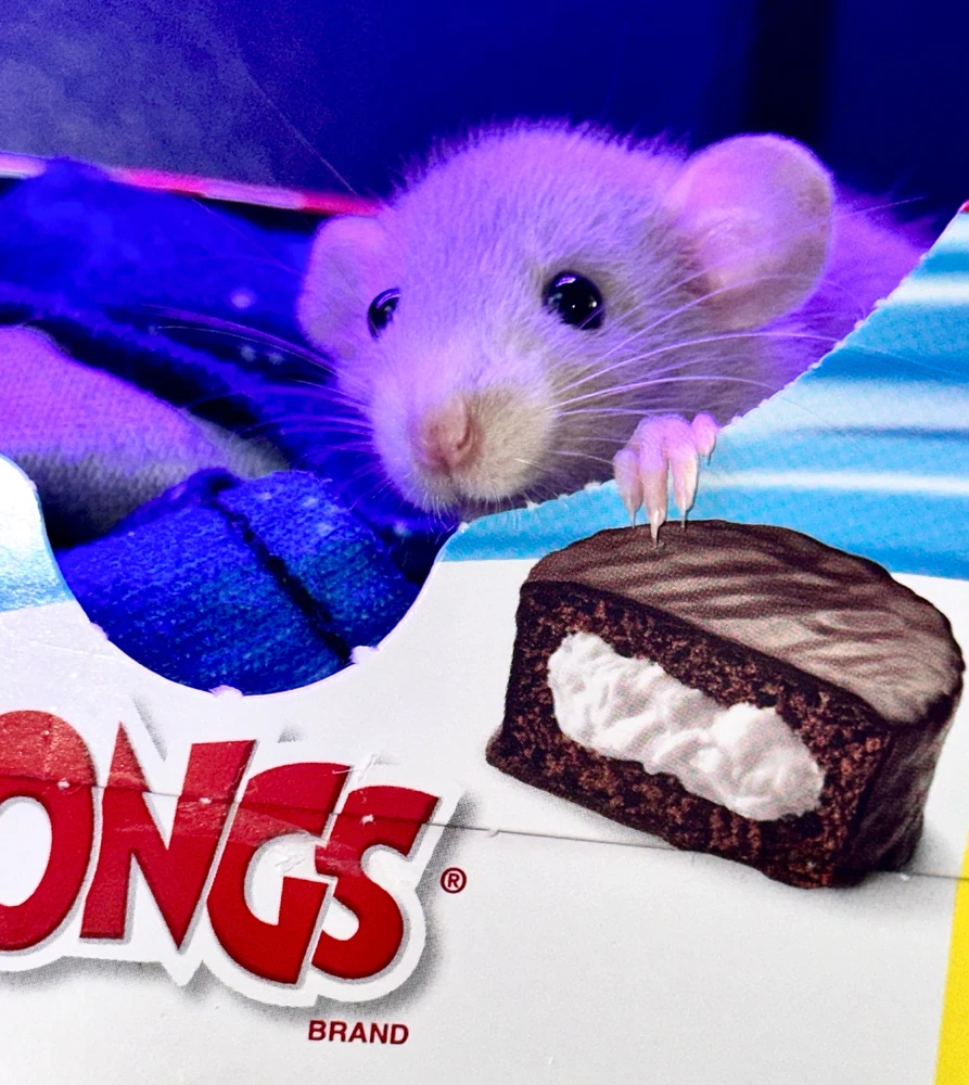 Image uploaded by Shelby