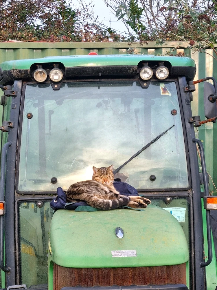 Szili által feltöltött GIF