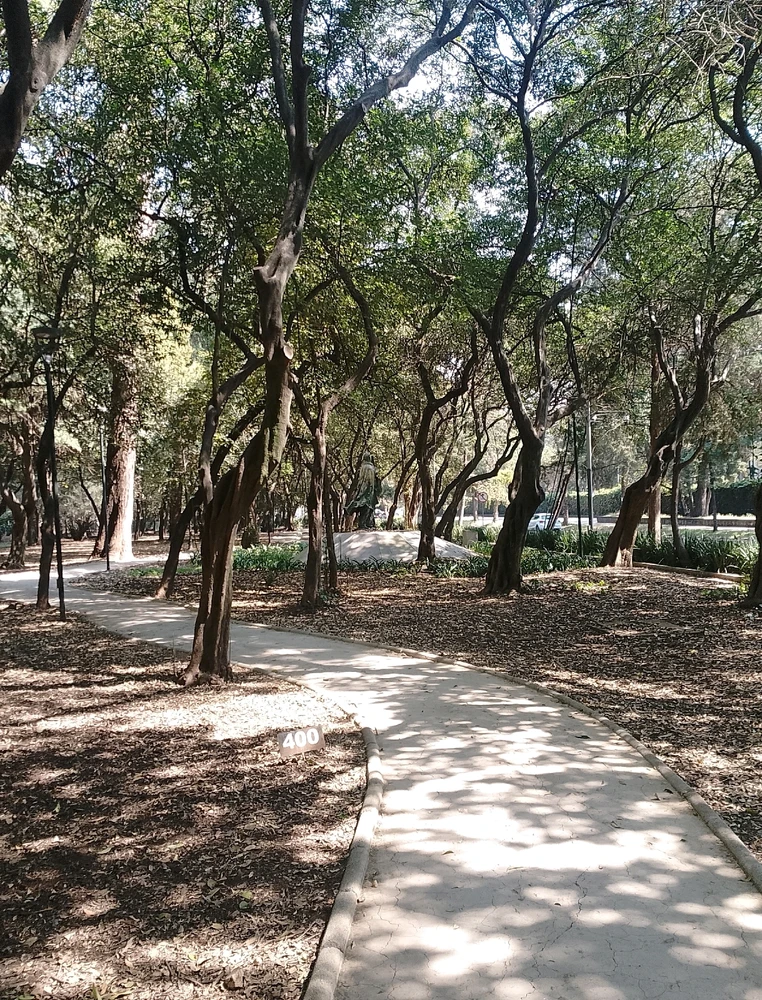 Image uploaded by Ruben