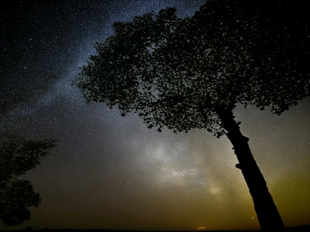 GIF uploaded by Zack