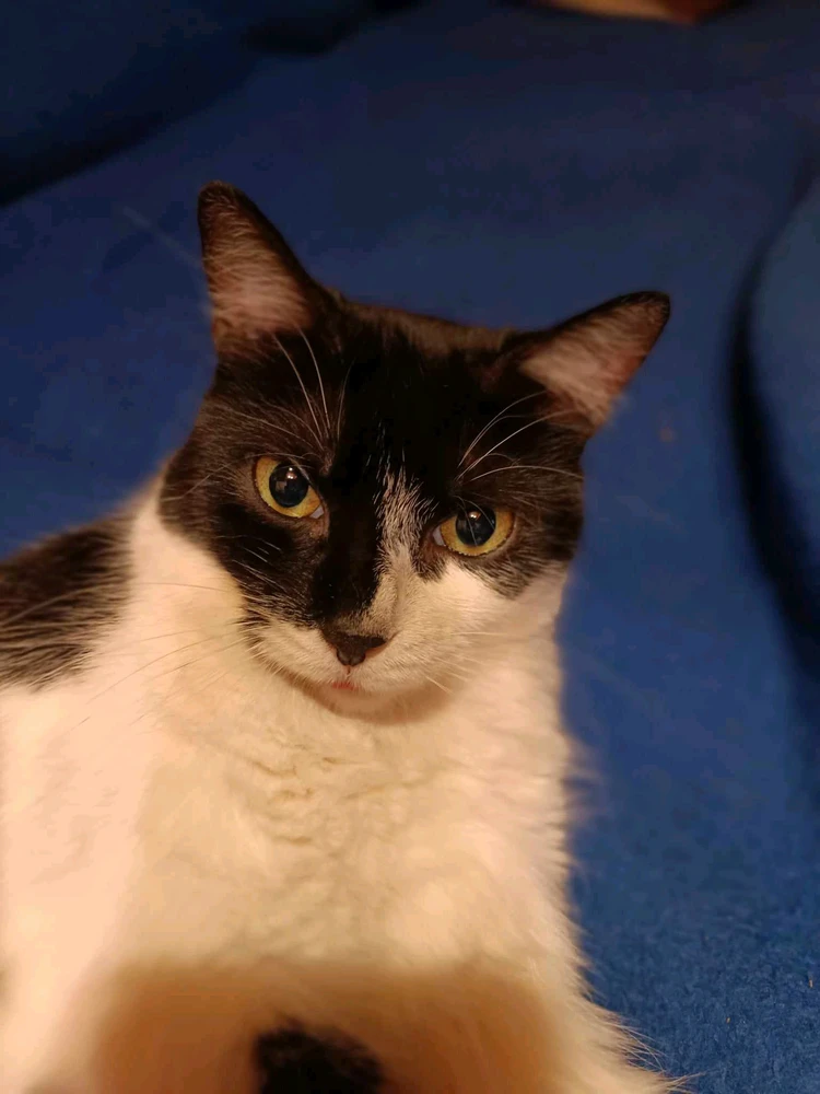 GIF uploaded by Zoli