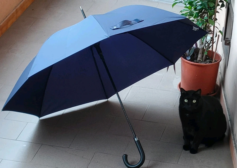 GIF caricata da Mattia