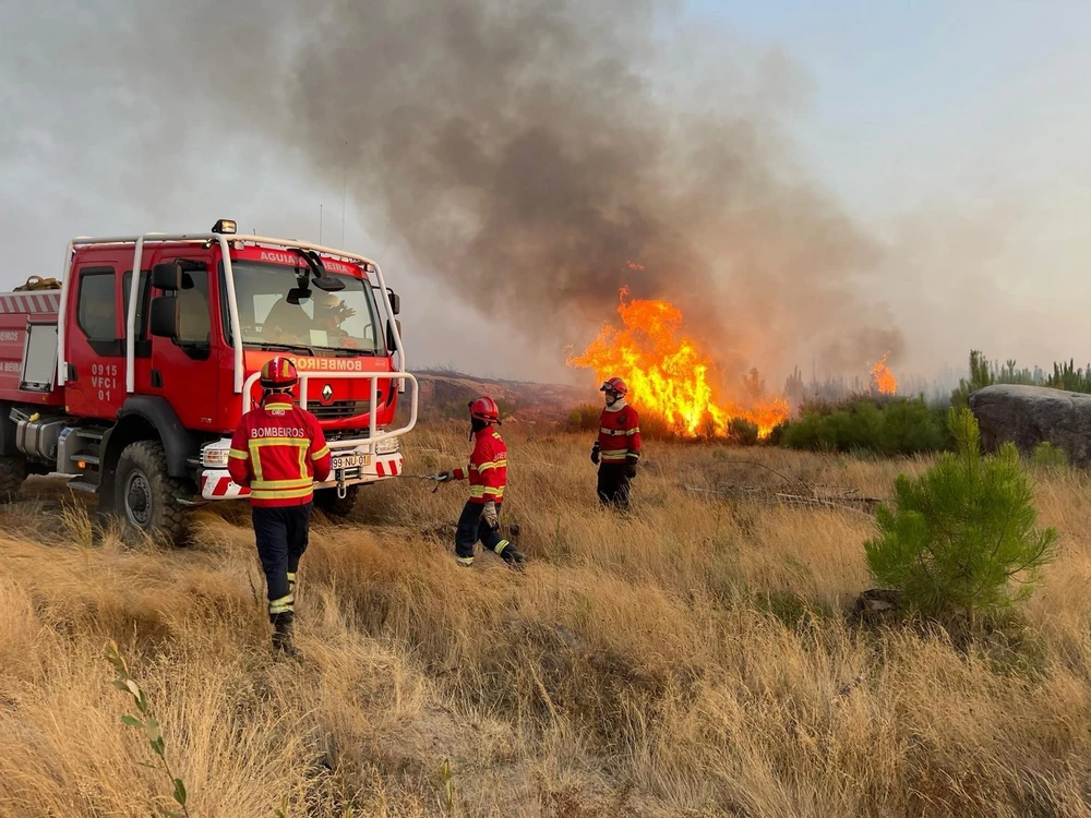 Imagem enviada por Pedro