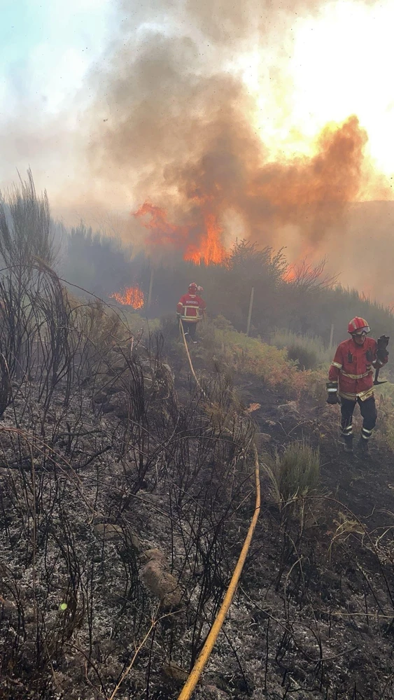 Imagem enviada por Pedro