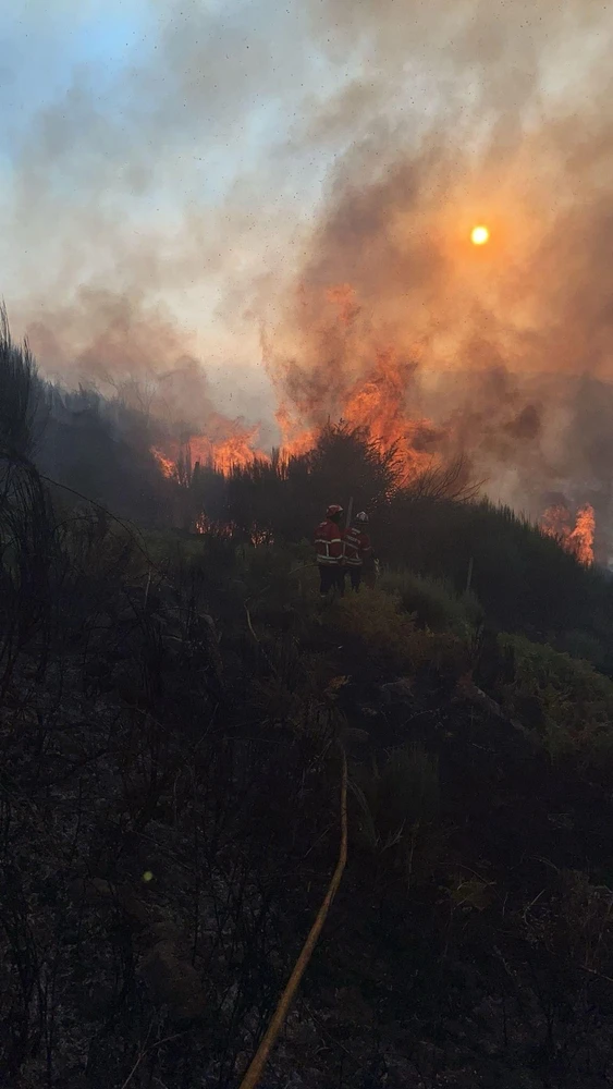 Imagem enviada por Pedro