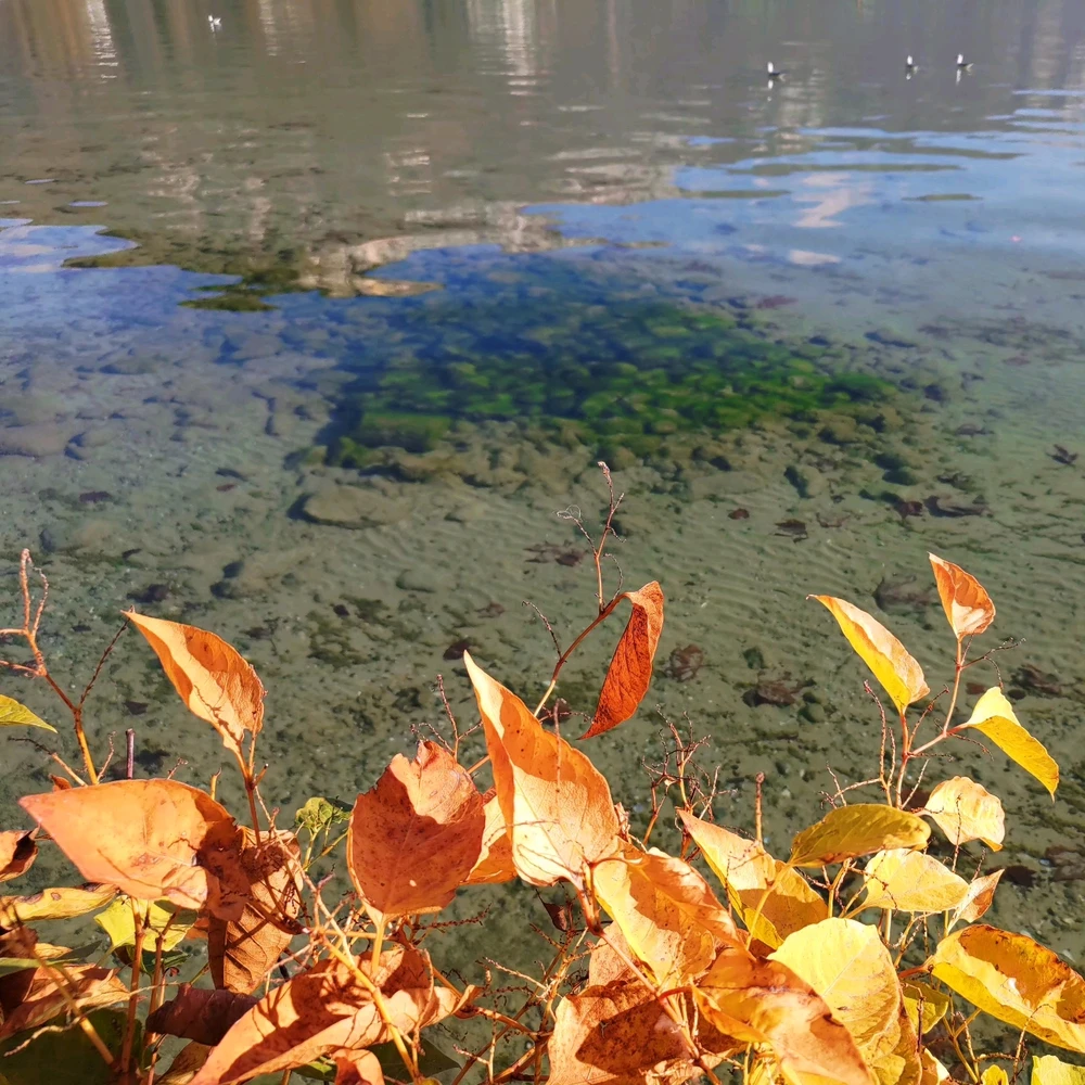 Zdjęcie dodane przez Jotsu