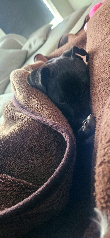 Gambar diunggah dening Liv