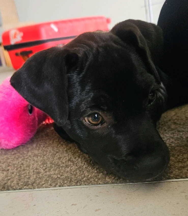 Gambar diunggah dening Liv