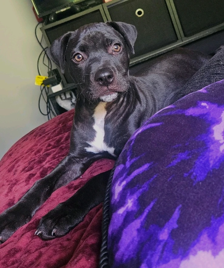 Gambar diunggah dening Liv