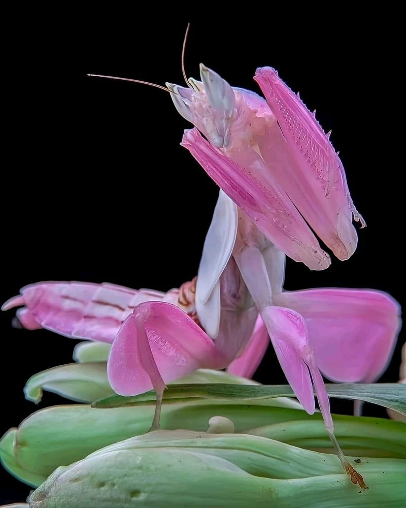 GIF uploaded by W