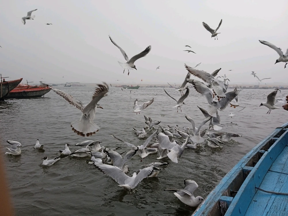 GIF uploaded by Raghu