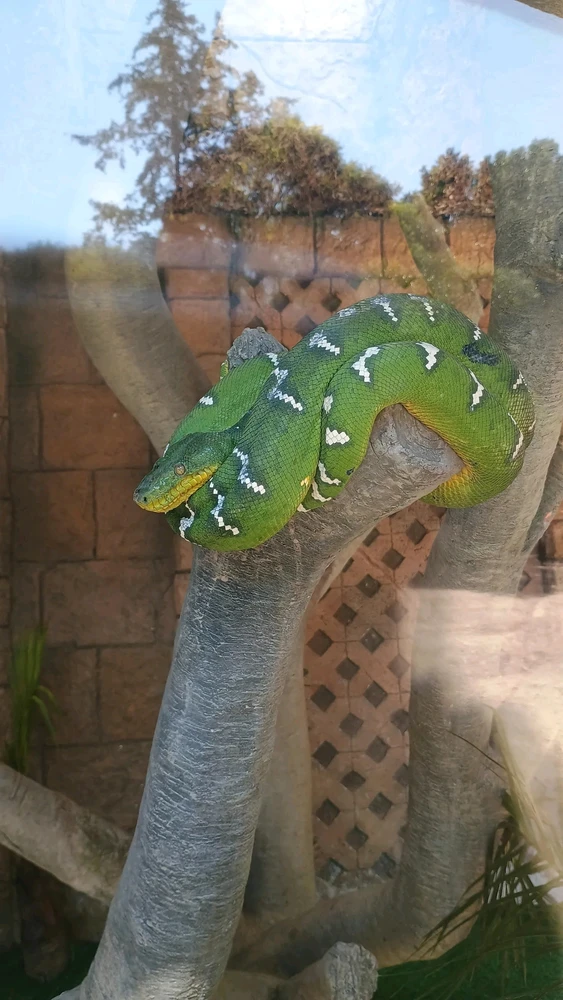 GIF subido por Danya