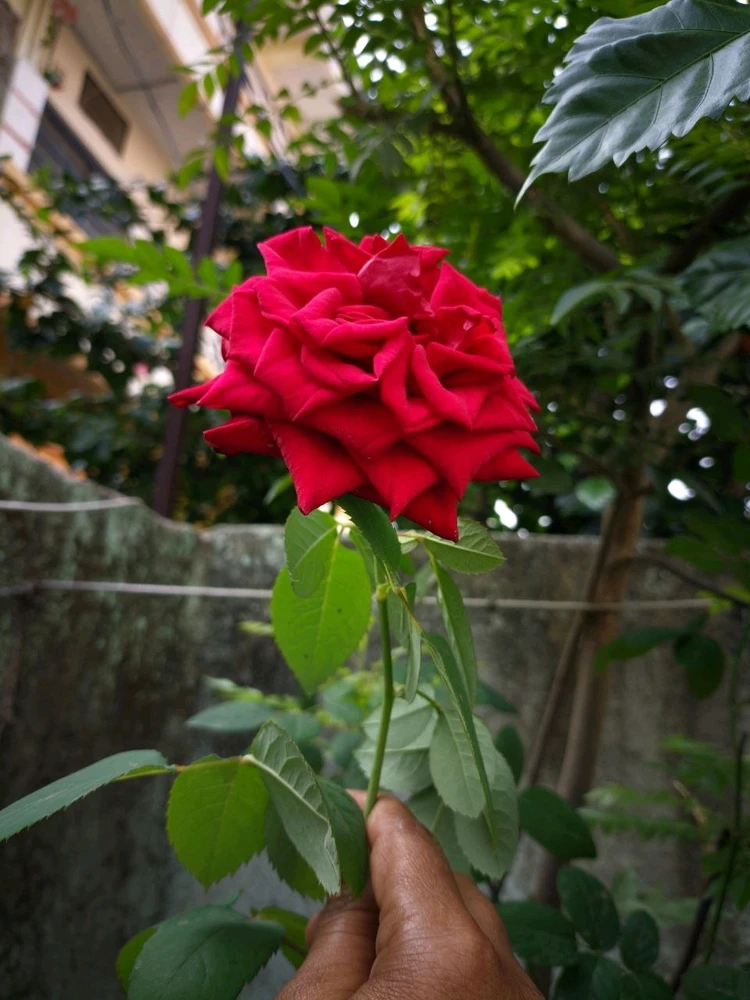 GIF uploaded by vishal yaduvanshi
