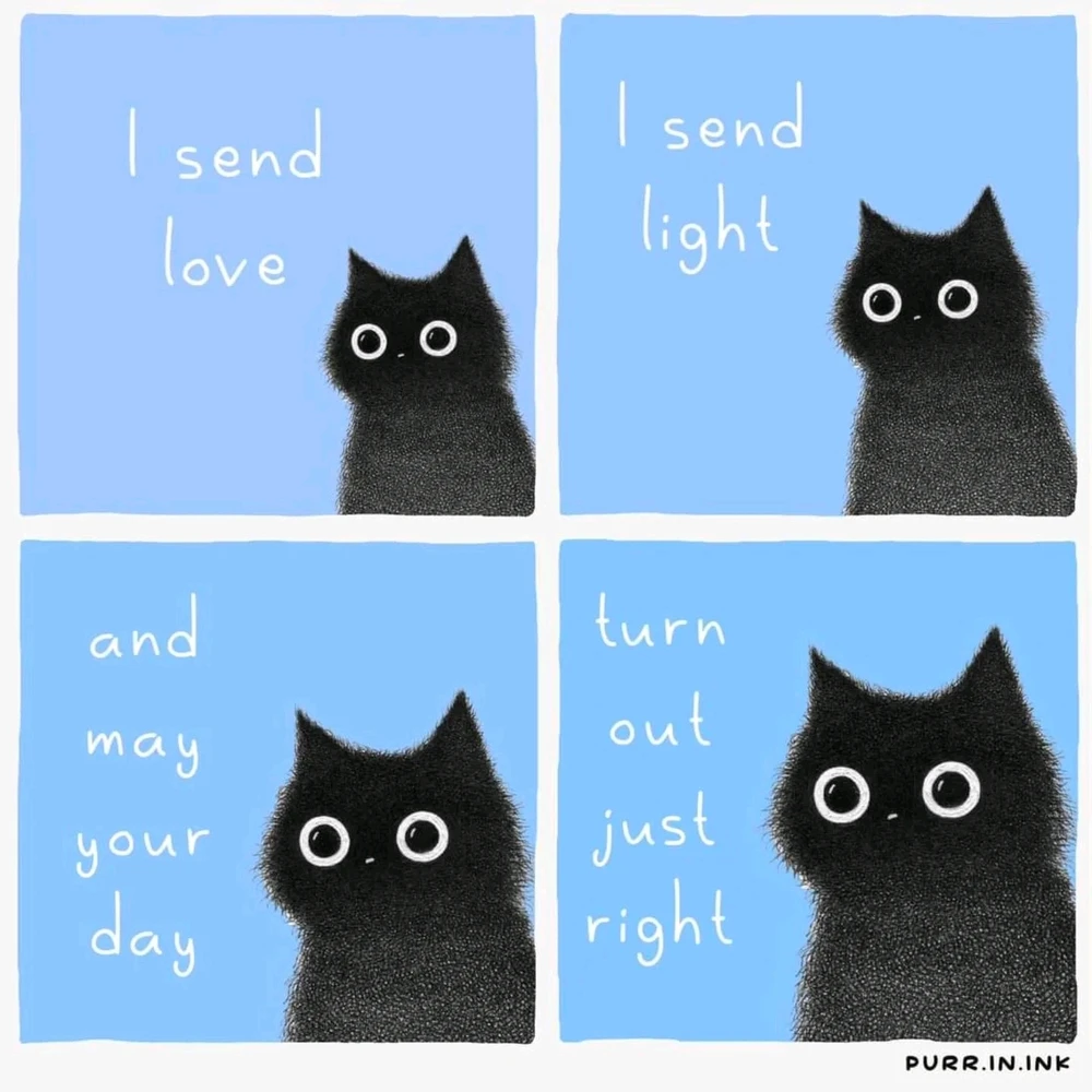 🌟🤗🌻 Ich wünsche euch allen einen wunderschönen Montag und entspannten Start in die Woche, ihr Lieben 🌼❤️🍄🦝🏵️🍂🍁